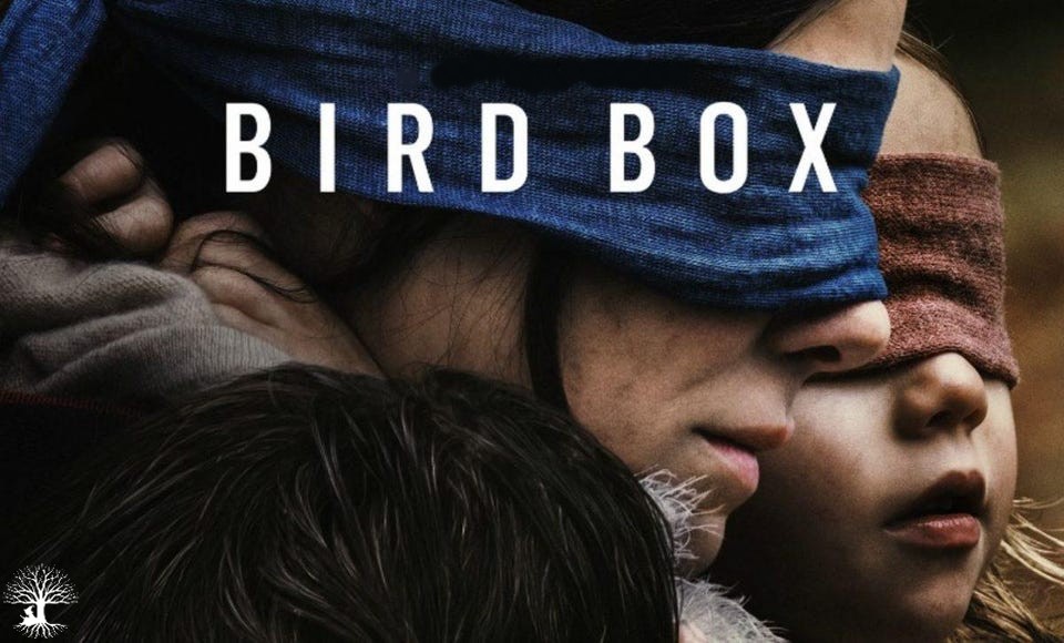 Bird Box